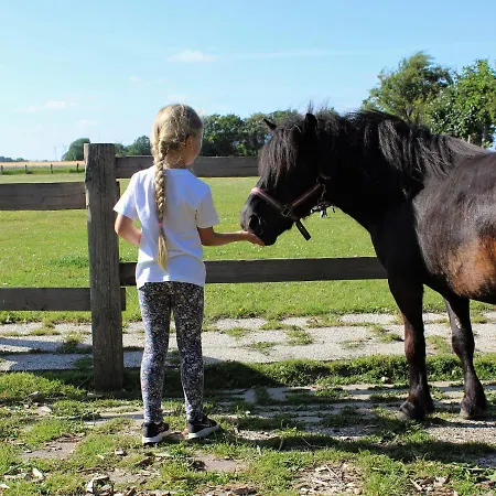Nordsee-bauernhof Wulff - 