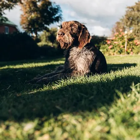 アパート Nordsee-bauernhof Wulff - 