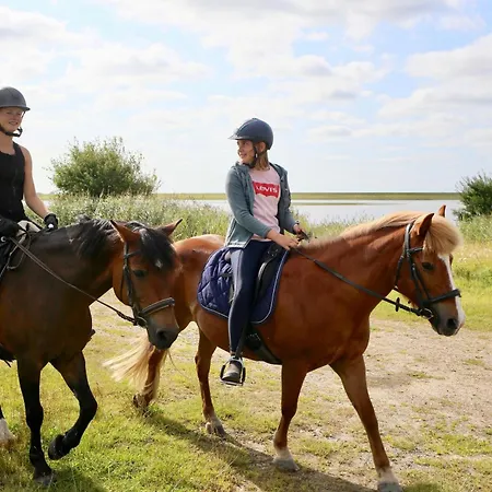 Nordsee-bauernhof Wulff - 